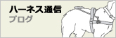 �n�[�l�X�ʐM�u���O