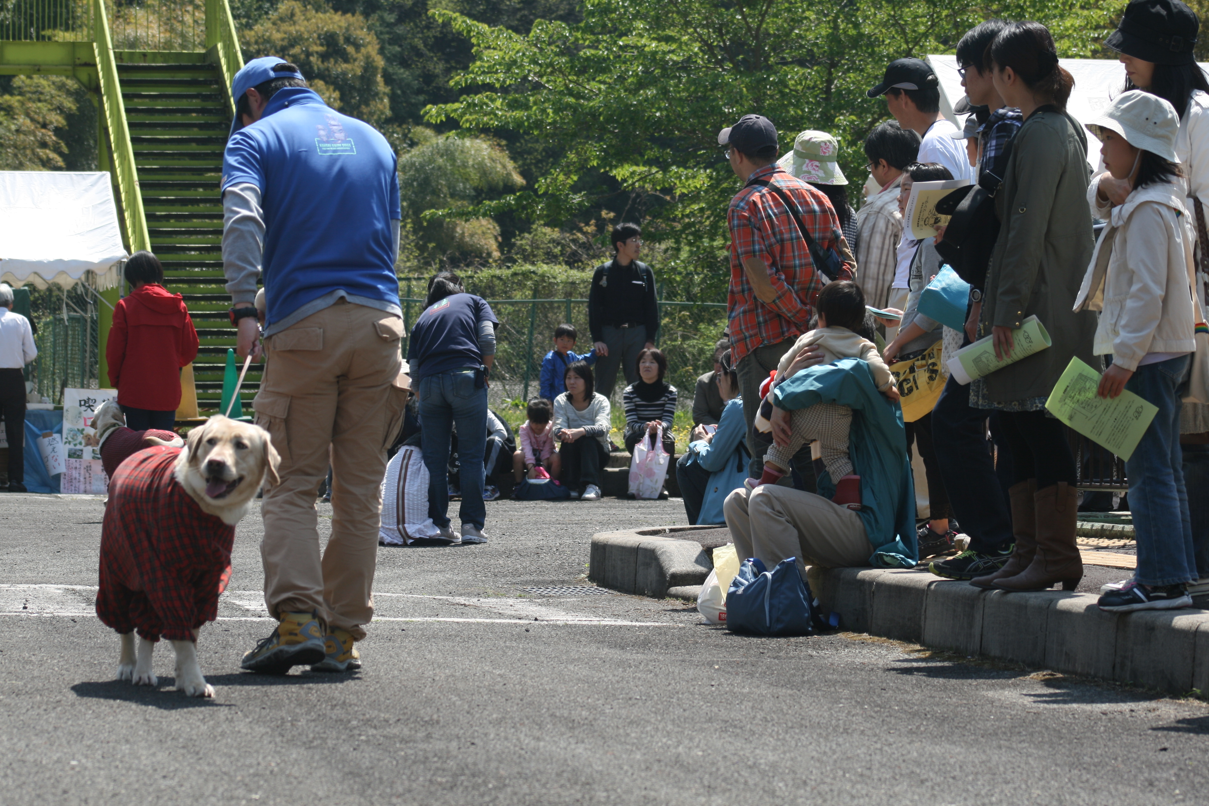 http://www.kansai-guidedog.jp/harness/item/IMG_9121.JPG