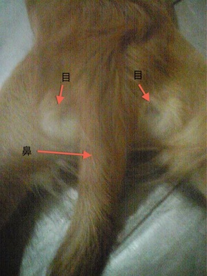 111218_1439231.jpg